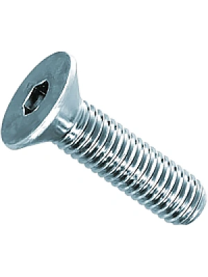 Винт А2 DIN 7991 с потай.гол. с внутр.шестигр. НЕРЖАВЕЙКА 10х12