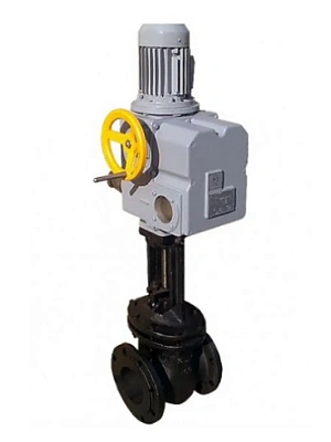 Задвижка 30ч906бр  Ду50 Ру16 с электроприводом ТИП-НА