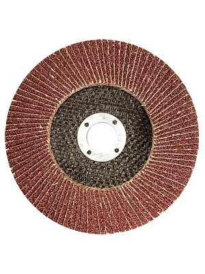 Круг лепестковый торцевой 125х22,23мм № 80